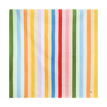 Load image into Gallery viewer, Candy Stripes Picnic Blanket