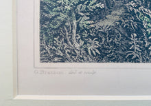 Load image into Gallery viewer, Isle of Wight Shanklin Chine, Antique Hand Coloured Engraving with Mount, 1847