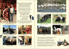 Load image into Gallery viewer, Compton - from the skies to the seas - a love letter to the landscape, by Rosy Burke - The Seaview Collection