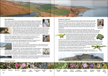 Load image into Gallery viewer, Compton - from the skies to the seas - a love letter to the landscape, by Rosy Burke - The Seaview Collection