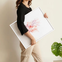 Load image into Gallery viewer, Large Coastal Wall Art | Set of 3 Seashells Wall art Prints
